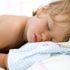 speciotrok-dreamstime.jpg