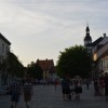 petek_073.jpg