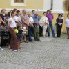 img_0388_16_1_000.jpg