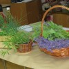 img_0362_1_1_000.jpg