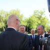 mokrice_07.jpg