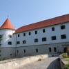 mokrice_01.jpg