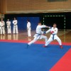 _zzzzzzzzzkarate__16_.jpg