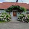 roze__1_.jpg