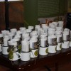 img_4806_000.jpg