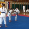 _zzzzzzzzzkarate__14_.jpg