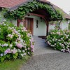 roze__3_.jpg