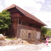 bucka_004.jpg