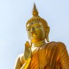 buda