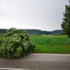 img_20190702_194945.jpg
