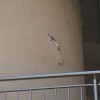 img_5854.jpg