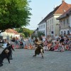 rudicetrtek_048.jpg