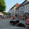 rudicetrtek_036.jpg