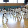 _zzzzzzzkarate__9_.jpg