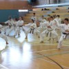 _zzzzzzzkarate__11_.jpg