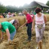 zetev_psenice09.jpg