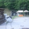 img_5281_000.jpg