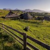velika planina, grand prix,