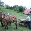 img_6018_000.jpg