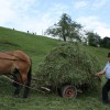 img_6042_000.jpg