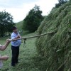img_6047_000.jpg