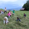 img_6017_000.jpg