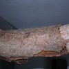 img_5958_000.jpg