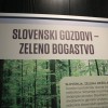 img_6088_000.jpg