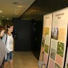 img_6090_000.jpg