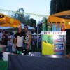img_6262_000.jpg