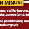 _zzzzzzkostanjevica__5_.jpg