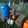 _zsivka__09_.jpg