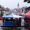 anin_sejem38.jpg