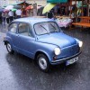 anin_sejem15.jpg