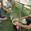 img_1254_17_1_000.jpg