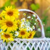 dreamstime_xxl_42993070.jpg
