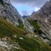 _ctriglav__66_.jpg