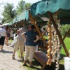 img_1356_9_1_000.jpg