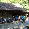 kolpa__42_.jpg