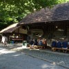 kolpa__57_.jpg