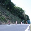 img_6555_000.jpg
