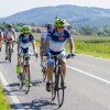 rkd_2019__229.jpg