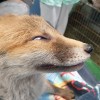 444e8f01b60ef5bb0a971d8039cbc9d2.jpeg