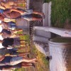 vodnjak__019.jpg
