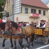 povorka_035.jpg