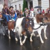 povorka_099.jpg