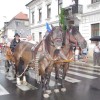 povorka_097.jpg