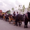 povorka_003.jpg