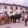 nagrajenci_048.jpg