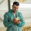 perutninarstvo, boštjan-slavič, piščančja-farma